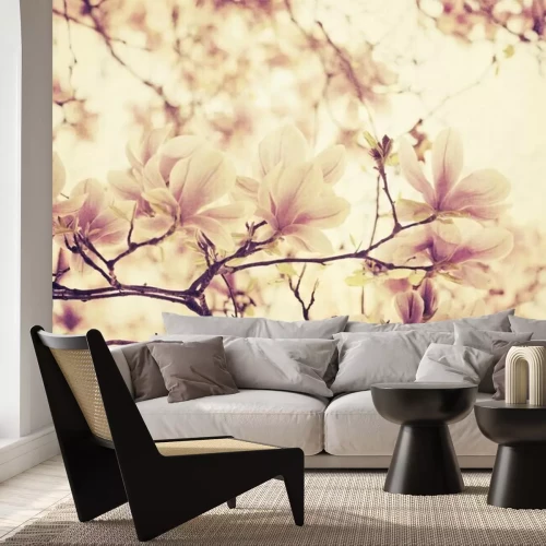 Fototapete Magnolienblüten in Sepia auf unscharfem Hintergrund