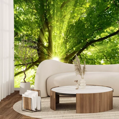 Fototapete Sonnenschein und Baum