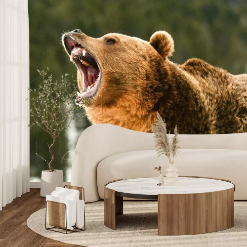 Fototapete Brauner Bär brüllender