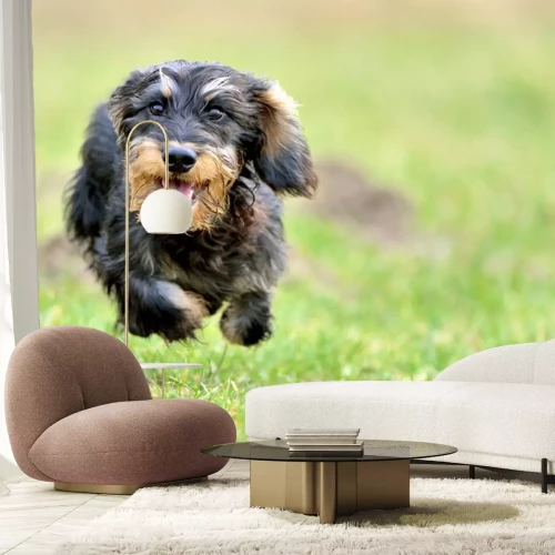 Sticker Hunde glücklicher Hund läuft durch eine Wiese