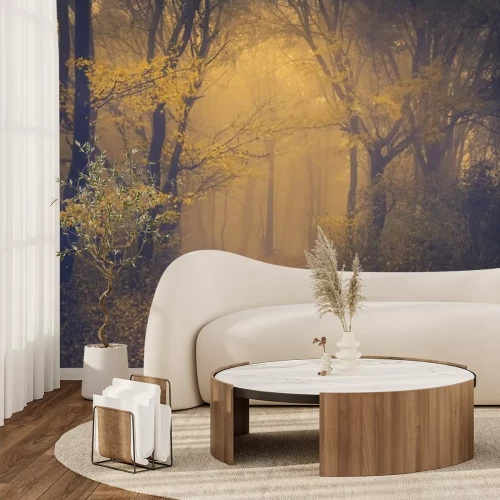 Sticker Geheimnisvolle nebligen Wald mit einem märchenhaften Blick