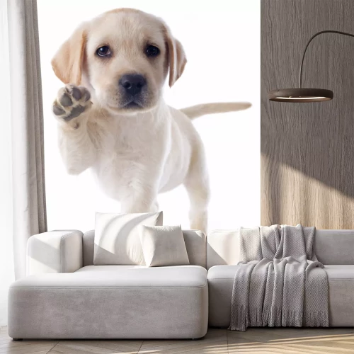 Sticker Kleiner Hund, der eine Pfötchen gibt