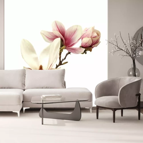 Sticker Weiße Magnolienblüten auf einem Zweig