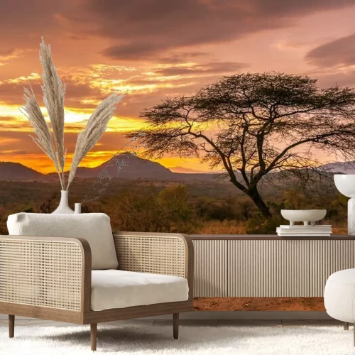 Fototapete Sonnenuntergang in der Savanne