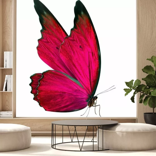 Sticker Schmetterling mit gefalteten Flügeln