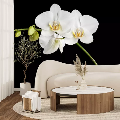 Sticker Weiße tropische Blumen auf schwarzem Hintergrund