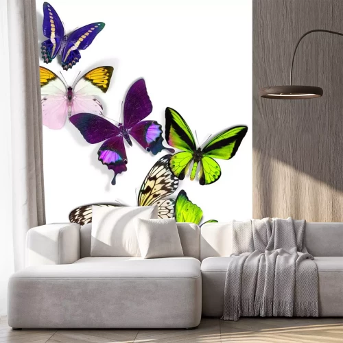 Sticker Gruppe der Schmetterlinge