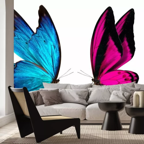 Sticker Zwei Schmetterlinge, die einander anschauen