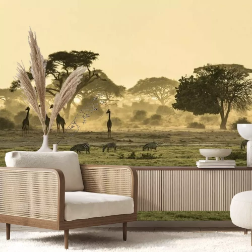 Fototapete Savanne bei Sonnenaufgang