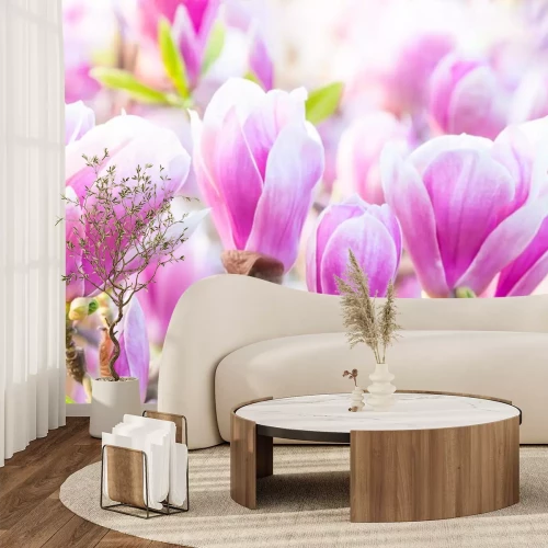 Sticker Bild von mehreren Magnolienknospen