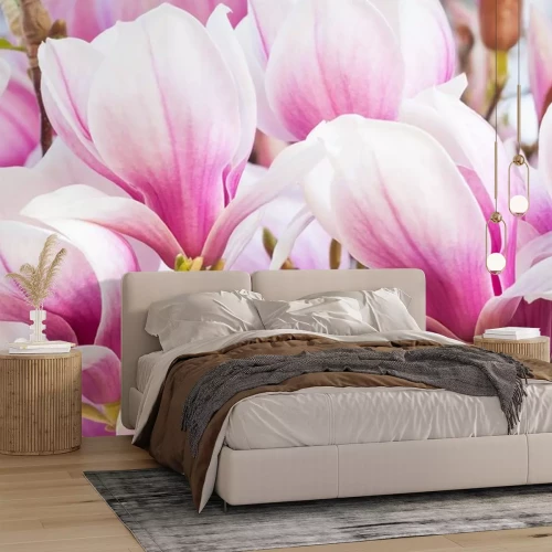 Sticker Nahaufnahme von vielen Magnolien