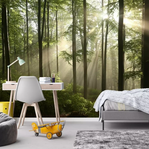 Fototapete Frühlingsmorgenlandschaft im Wald