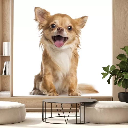 Sticker Sitzender winziger Hund