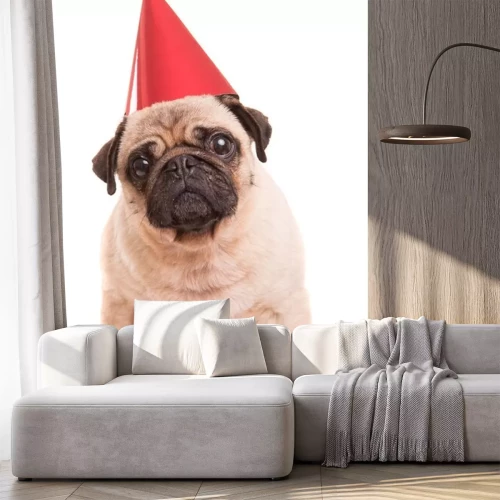 Sticker Hund Familienmitglied Mops mit Geburtstagskappe