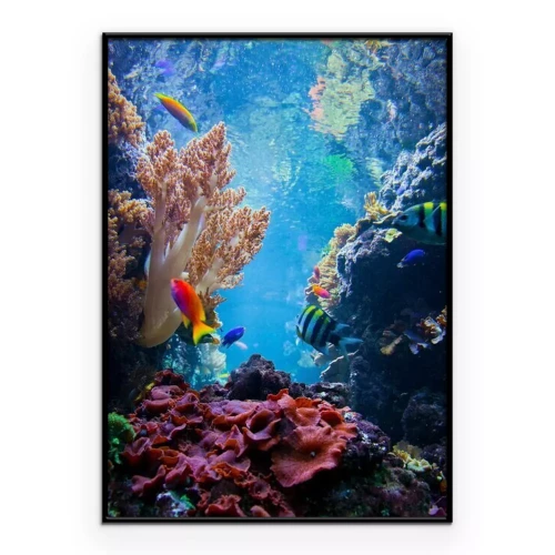 Poster Unterwasserwelt mit Korallenriff und bunten Fischen