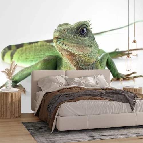 Sticker Chinesische Wasserdrache