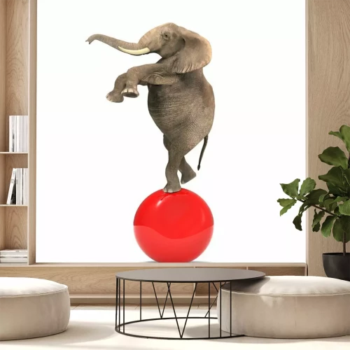Sticker Elefant tanzt auf einem Ball