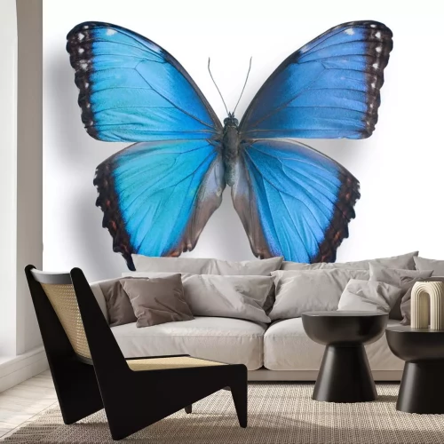 Sticker Bild eines blauen Schmetterlings