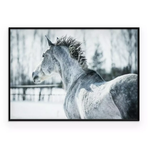 Poster Ein geflecktes Pferd im Winter