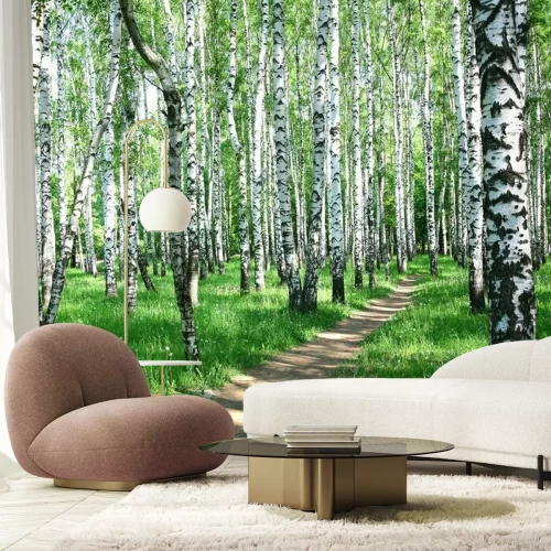 Fototapete Birken auf der Wiese