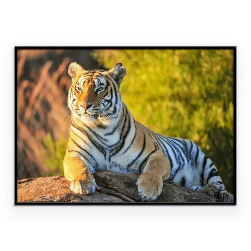 Poster Porträt eines Tiger