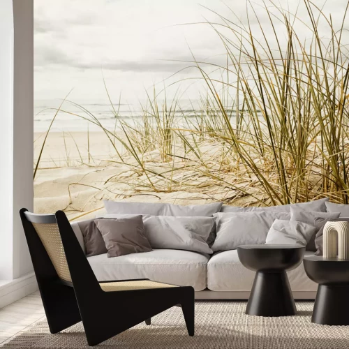 Fototapete Nahaufnahme einer hohen Gras an einem Strand bei bewölktem Saison