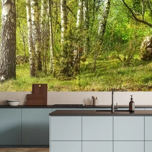 Fototapete Panorama von Birkenstämmen