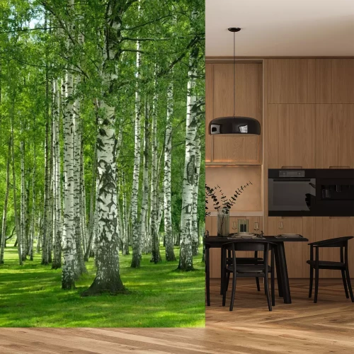 Fototapete 3D Birken im Frühjahr