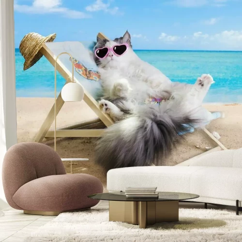 Sticker Katze auf einem Liegestuhl ruhen