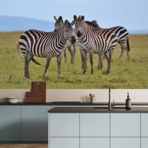 Sticker Zebras auf grünem Gras