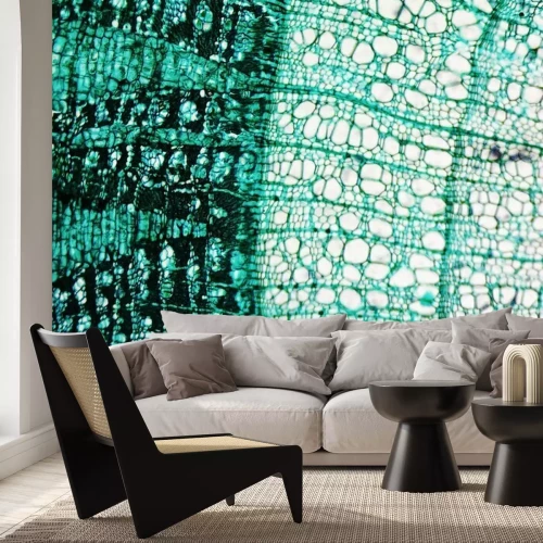 Fototapete Holz unter dem Mikroskop