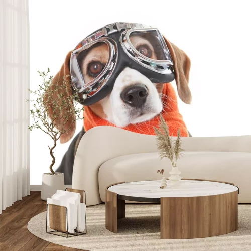 Sticker Hunde lustiger Hund mit Pilotenbrille