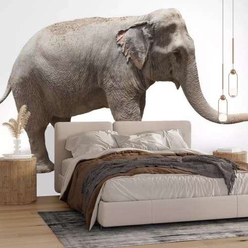 Sticker Asiatischer Elefant 3D