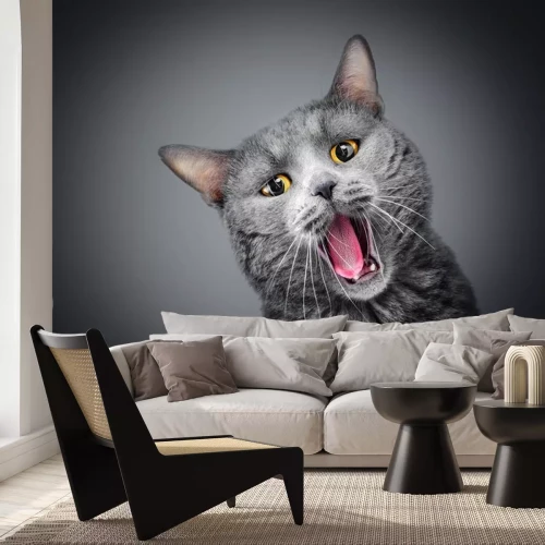 Sticker Katzen graue Katze mit gelben Augen und offenem Maul