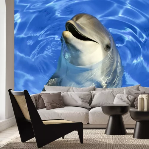 Sticker Delfin  der seinen Kopf aus dem Wasser streckt