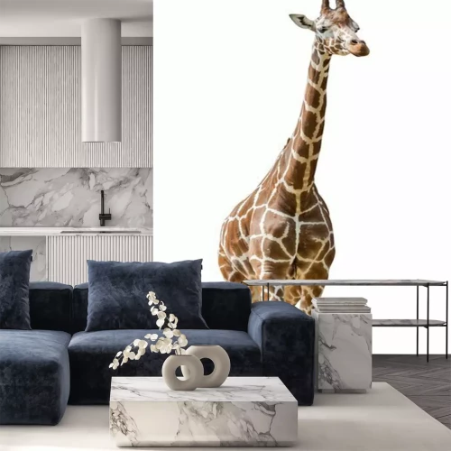 Sticker Giraffe 3D auf weißem Hintergrund