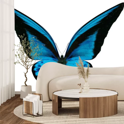 Sticker Blauer Schmetterling auf weißem Hintergrund