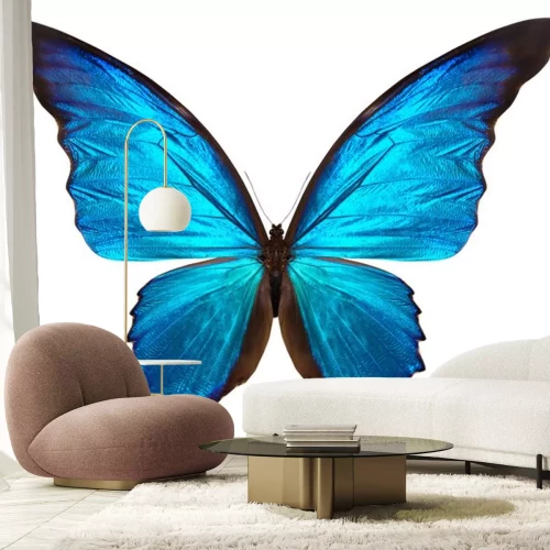 Sticker Schmetterling auf hellem Hintergrund