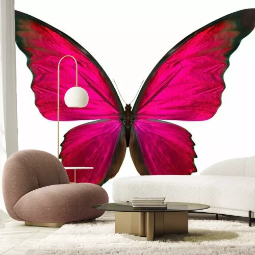 Sticker Schmetterling in gesättigten Farben