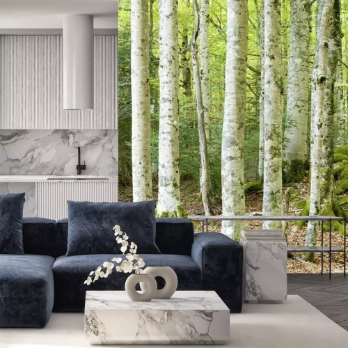 Fototapete Moos auf Birken