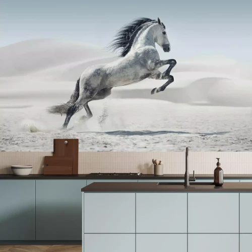 Fototapete Bild präsentiert die weißen Pferd im Galopp