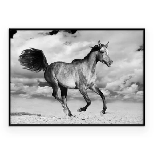 Poster Ein Pferd galoppiert vor dem Hintergrund von Wolken am Himmel