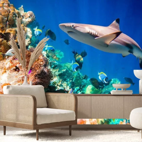 Fototapete Tropisches Korallenriff und Hai