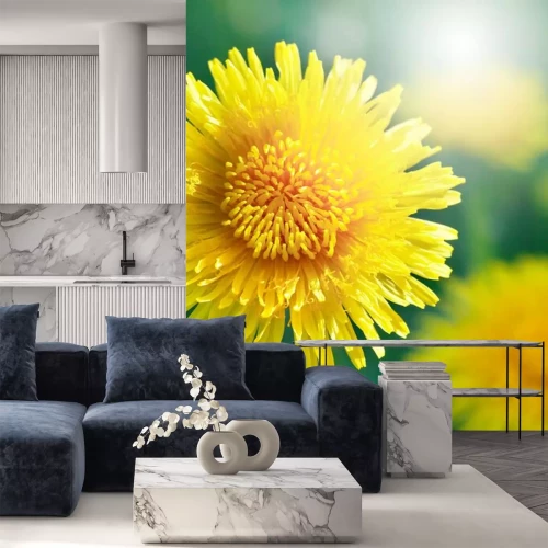 Sticker Gelbe Blume in einem Zoom