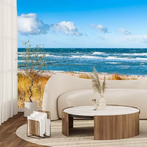 Fototapete Pflanzen auf Dünen und Meer