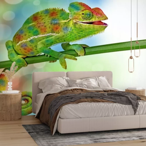 Sticker Ein lustiges Chamäleon auf einem grünen Ast