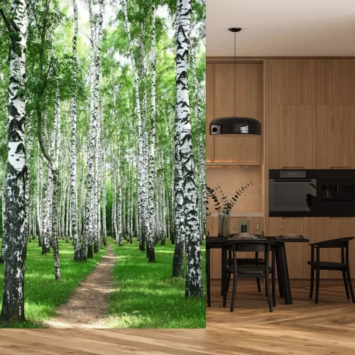 Fototapete Schmaler Pfad durch Birkenwald