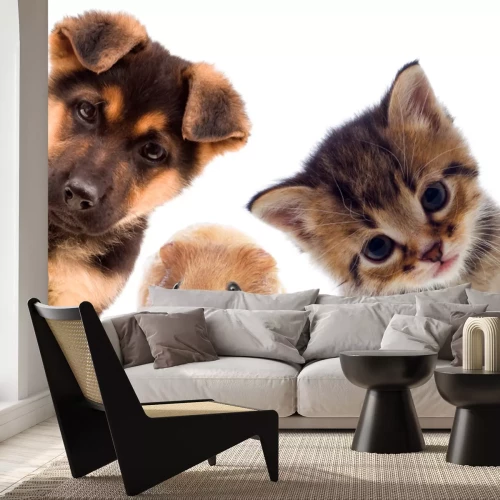 Sticker Hund, Katze und Meerschweinchen schauen in die Kamera