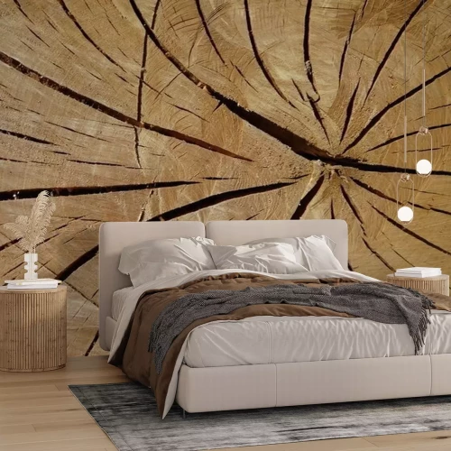 Fototapete Baumstamm im Makromaßstab