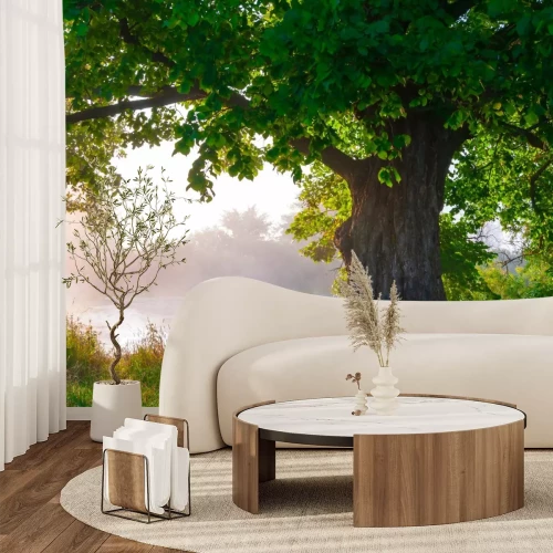 Fototapete Allein Eiche in voller Blatt im Sommer stehen